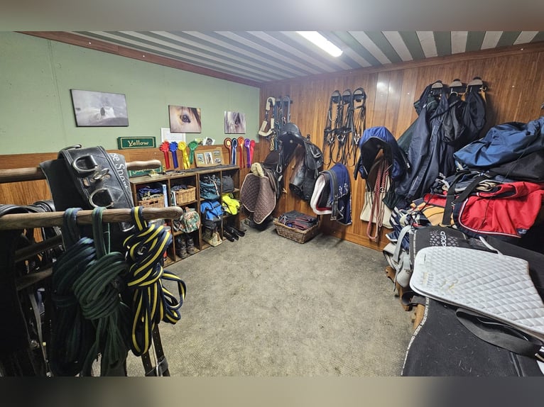 Traumhafter Bungalow mit Stall für Pferdeliebhaber