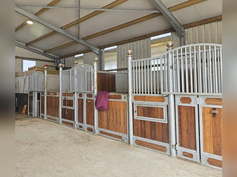 Traumhafter Bungalow mit Stall für Pferdeliebhaber