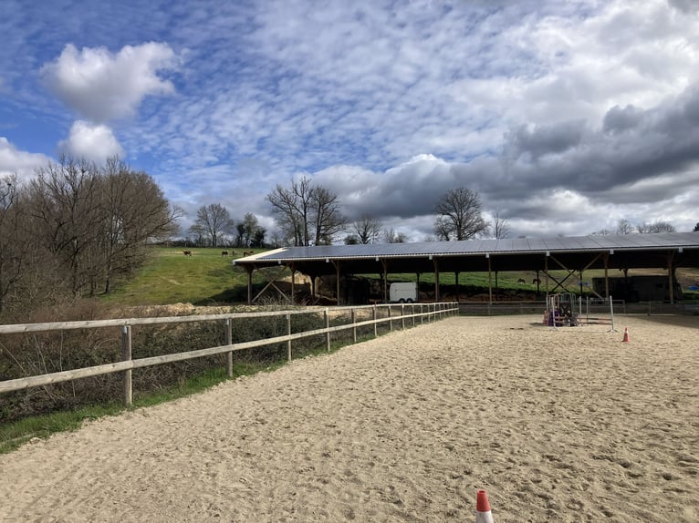 Turnkey equestrian center!