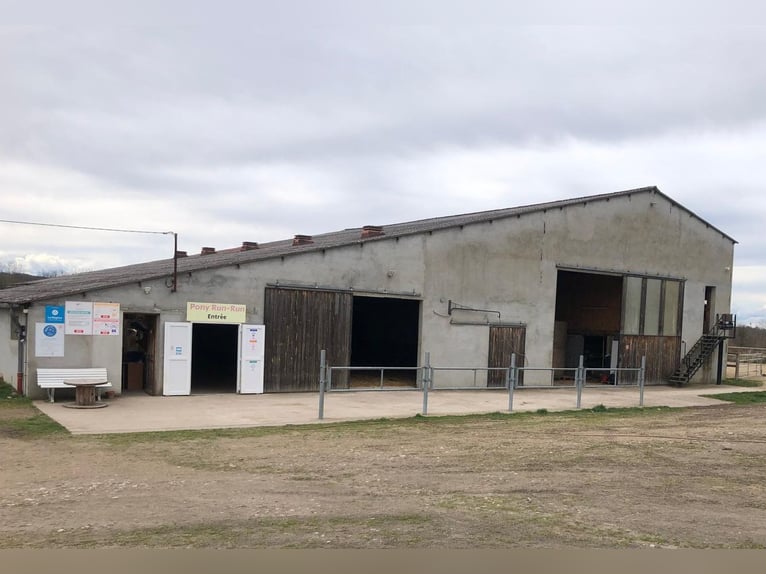 Turnkey equestrian center!