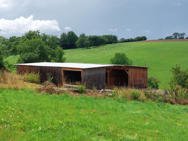 Unique estate with development potential – combines living, working, and equine or animal husbandry.