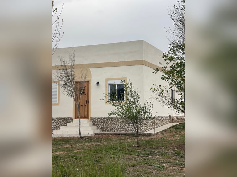 Unique Off-Grid Mountain Home With 360° Panoramic Views and Full Equestrian Facilities 