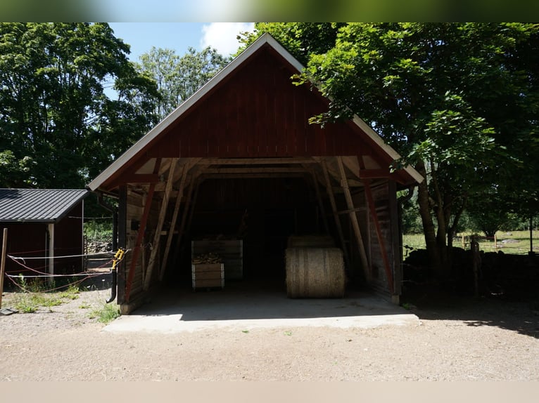Unique property in Blekinge / Southern Sweden