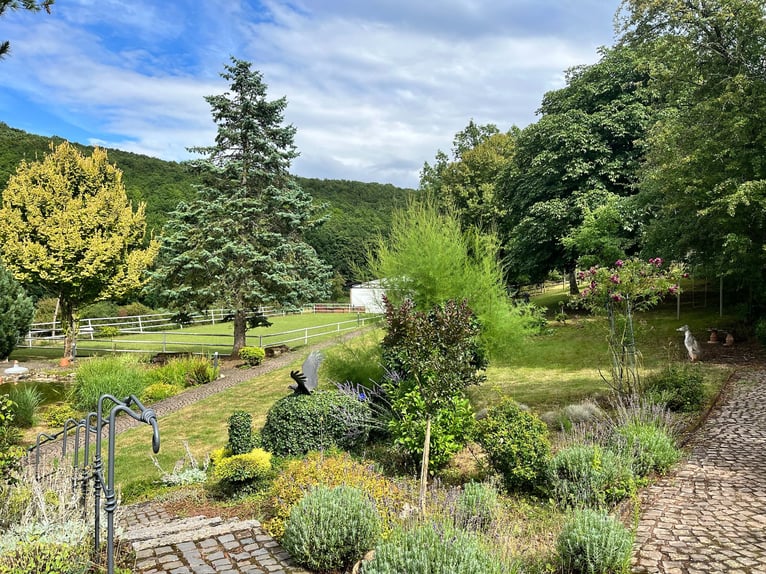 Unique riding estate in the Palatinate – 14.3 acres, house, stable, indoor riding arena, outdoor rid