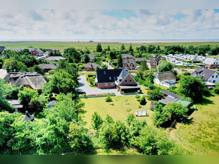 Urlaub am Meer mit Pferd - Ferienhaus an der Nordseeküste mit Pferdekoppel - Sankt Peter-Ording
