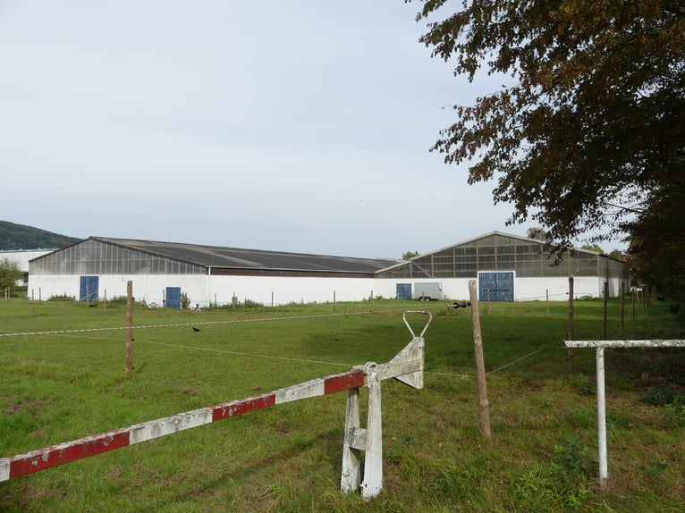 Vergabe der Reitsportanlage Monaise im Erbbaurecht