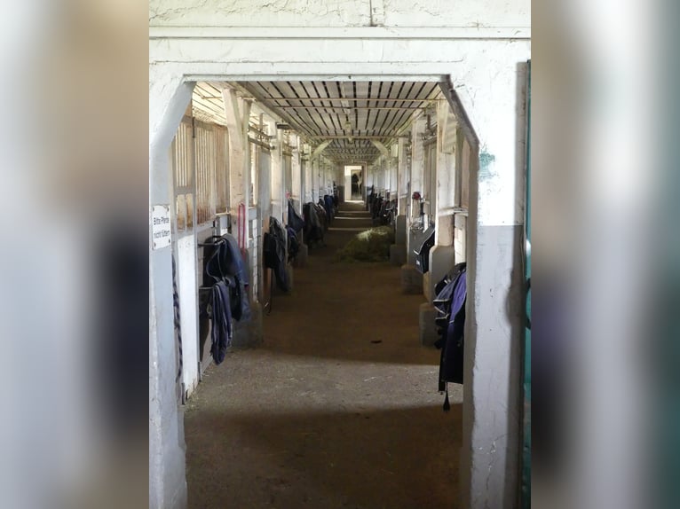 Vergabe der Reitsportanlage Monaise im Erbbaurecht