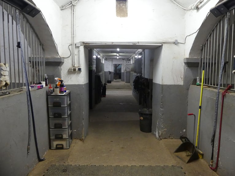 Vergabe der Reitsportanlage Monaise im Erbbaurecht