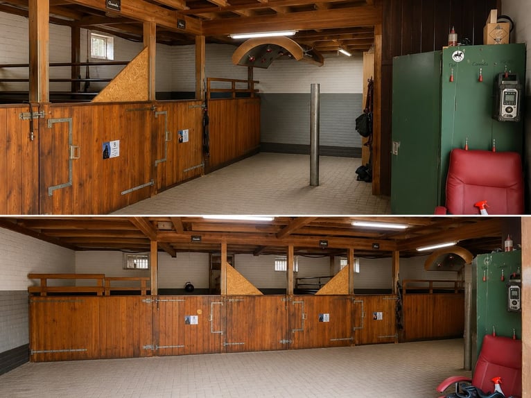 Versatile equestrian facility with a spacious two-family house in Hude (Oldenburg district)