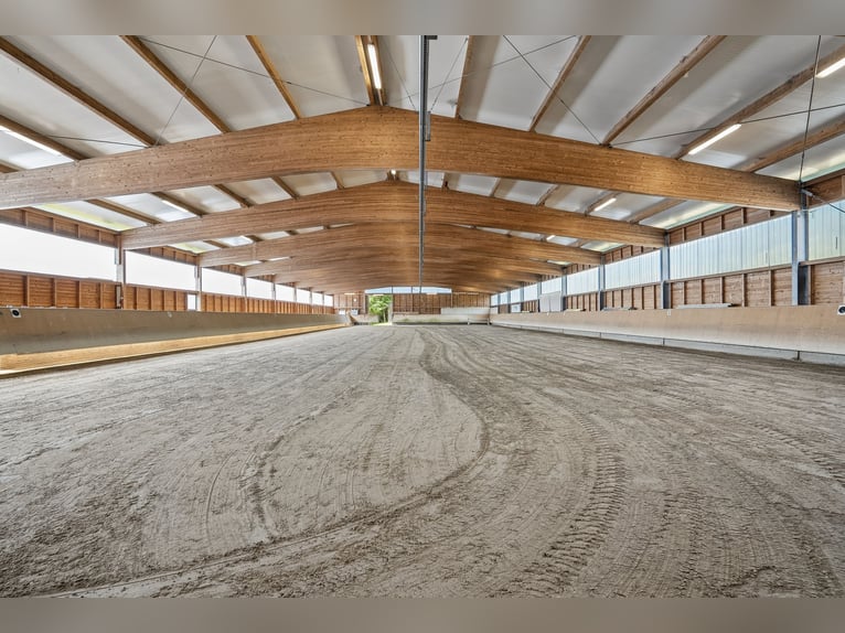 Versatile equestrian property with a new single-family home and comprehensive infrastructure