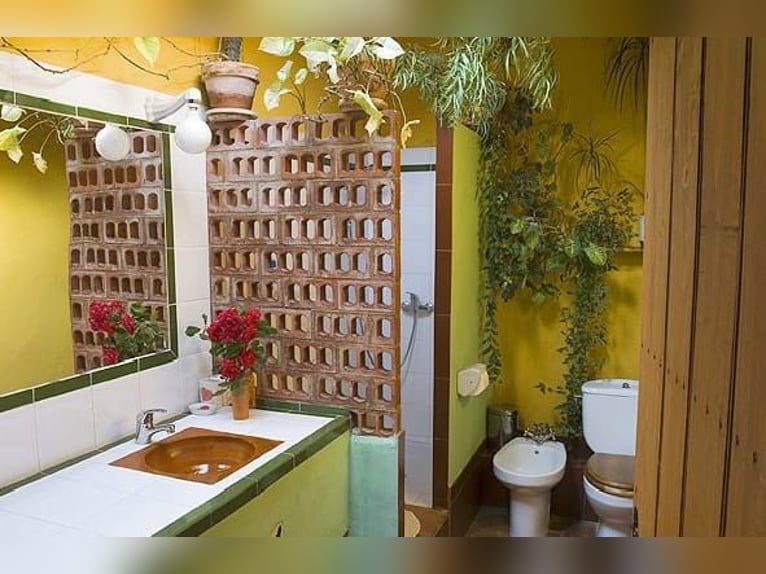 Very nice property in southern Spain, near Seville.