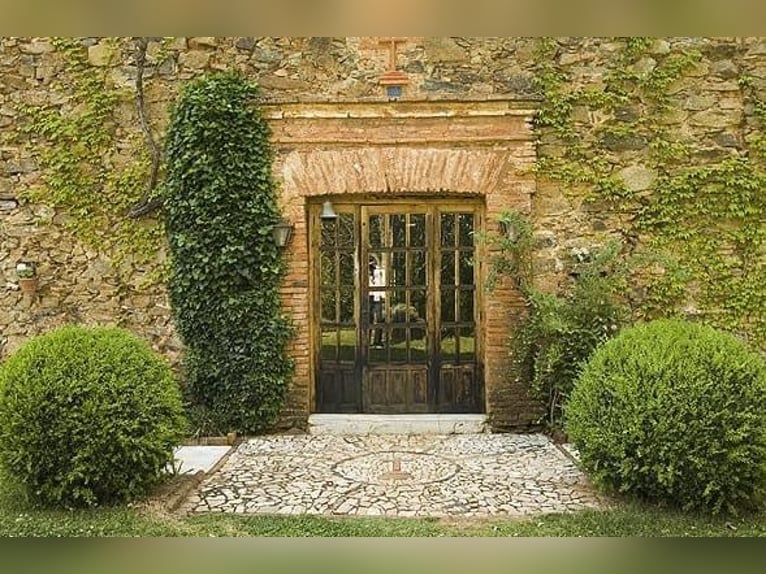 Very nice property in southern Spain, near Seville.