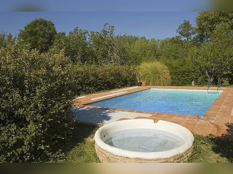 Very nice property in southern Spain, near Seville.