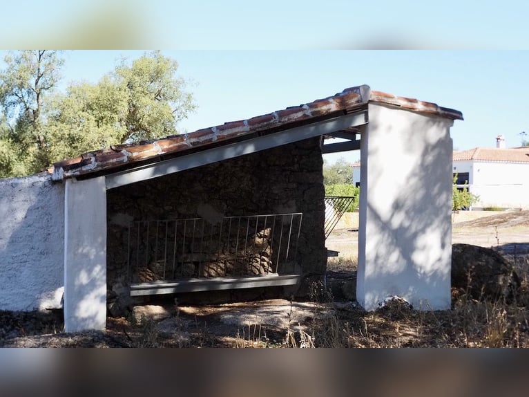 Voll ausgestattetes Landhaus mit Swimmingpool