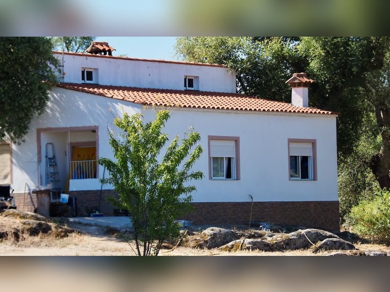 Voll ausgestattetes Landhaus mit Swimmingpool