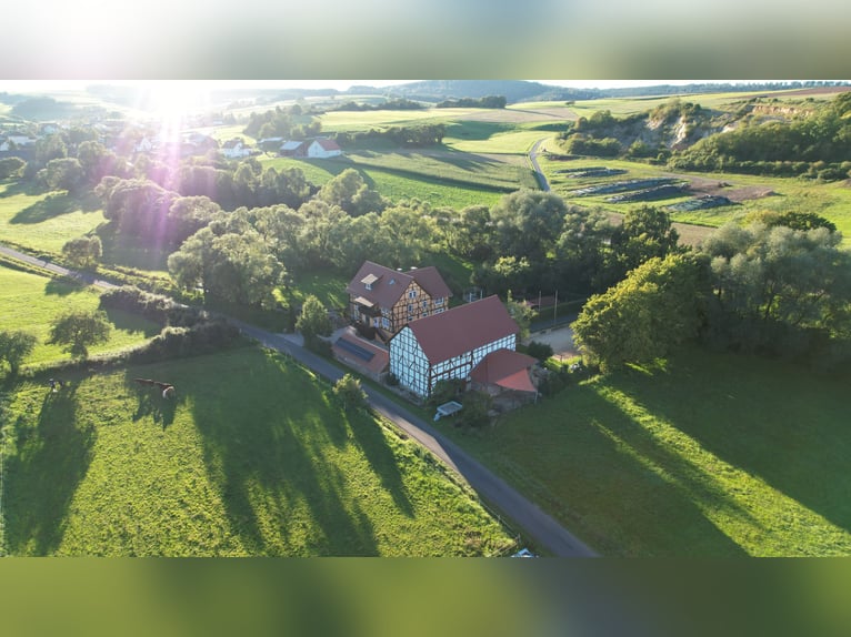 Wassermühle in Alleinlage   *Pferdehaltung *energieeffizient *provisionsfrei *alte Wasserrechte