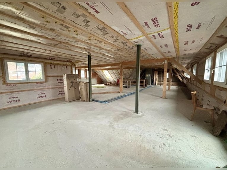 Well-maintained equestrian property – 5,000 sqm, sand arena, and mountain view | Near Switzerland | 