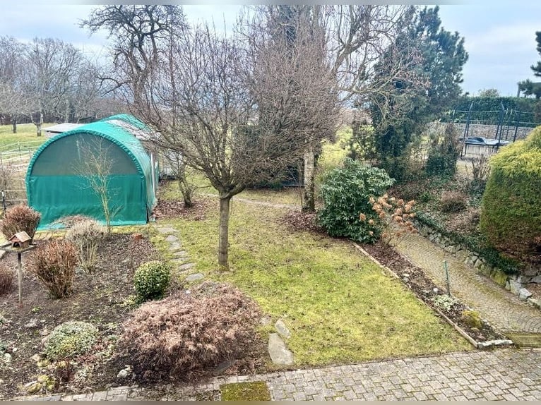 Well-maintained equestrian property – 5,000 sqm, sand arena, and mountain view | Near Switzerland | 