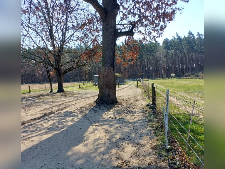Wohnen und Arbeiten in landschaftlich reizvoller Umgebung