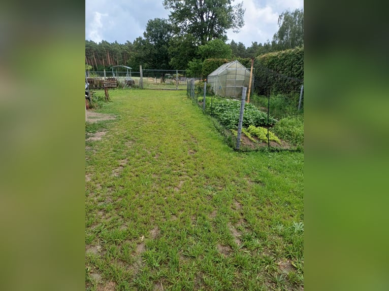 Wohnen und Arbeiten in landschaftlich reizvoller Umgebung