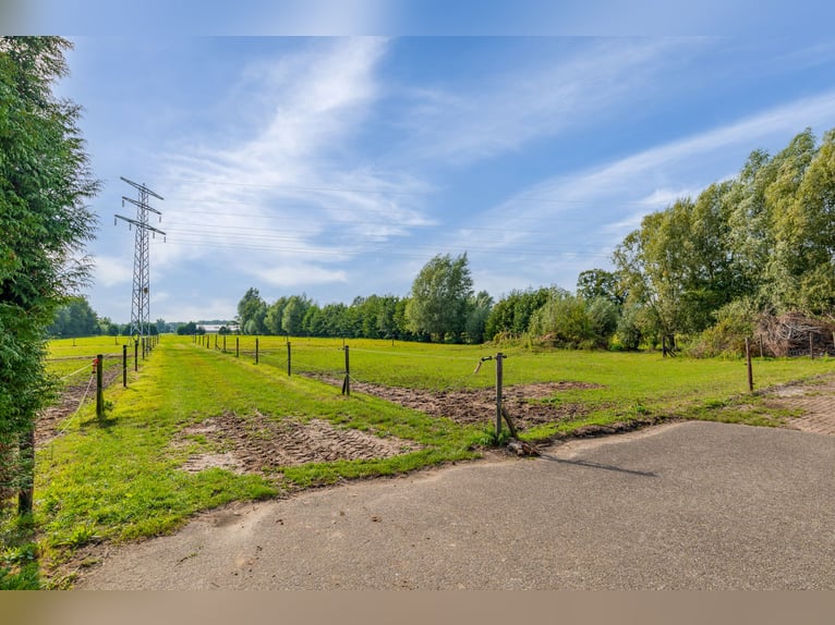 Woonboerderij met paardenaccommodatie incl. binnenrijbaan, buitenrijbaan en 11 luxe paardenstallen