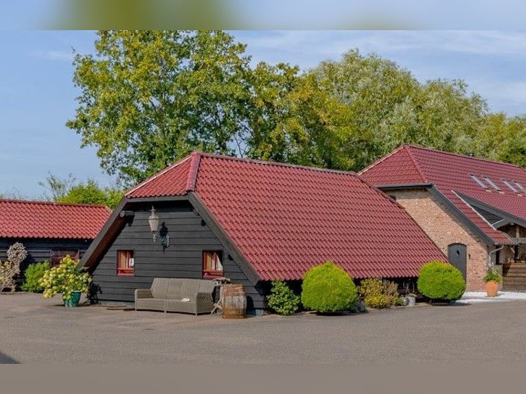 Woonboerderij met paardenaccommodatie incl. binnenrijbaan, buitenrijbaan en 11 luxe paardenstallen