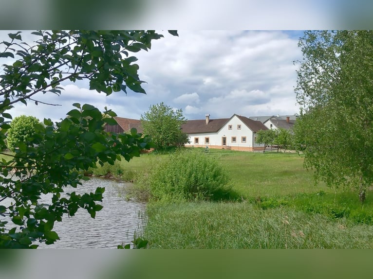 Wunderschöner, kernsanierter Hof- Österreich, wo das Leben noch lebenswert ist!
