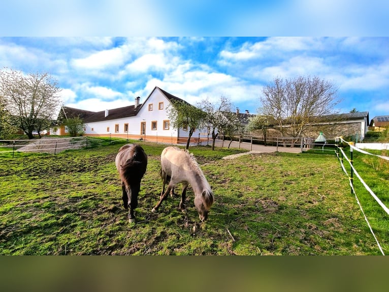 Wunderschöner, kernsanierter Hof- Österreich, wo das Leben noch lebenswert ist!