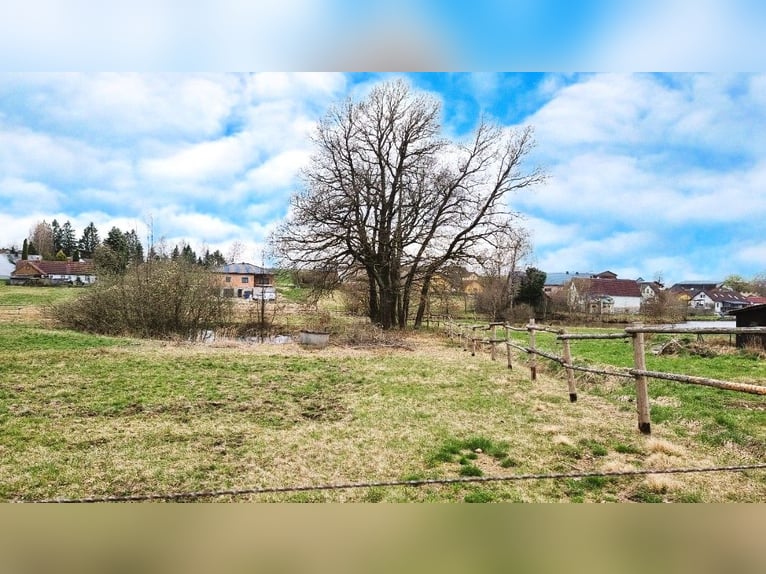 Wunderschöner, kernsanierter Hof- Österreich, wo das Leben noch lebenswert ist!