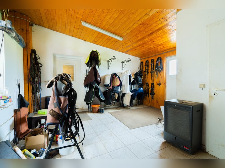 Wundervoller Pferdehof mit ca. 7,5ha Fläche, Reithalle, Führanlage, Reitplatz, Stalltrakten u.v.m.