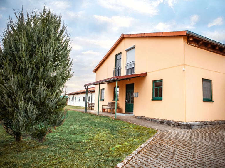 XXL Equestrian Facility for Elite Sport in Franconia V14177 – No Commission