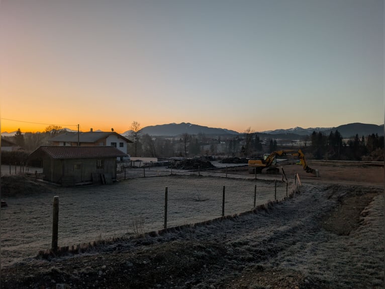 Active Stable at Ammerblick Equestrian Center