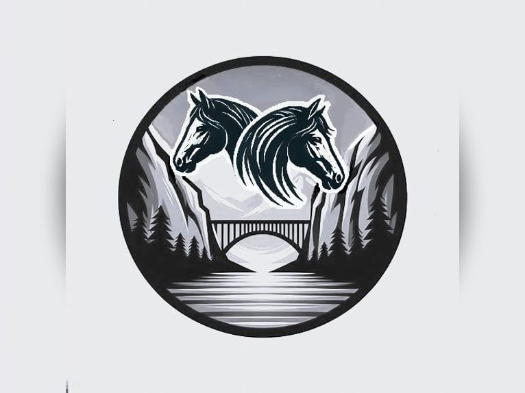 Active Stable Horse Farm Ammerblick NEW!!