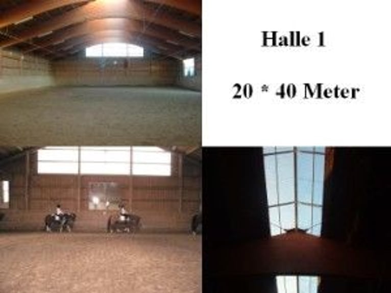 Active stable with 2 indoor arenas and paddock stalls
