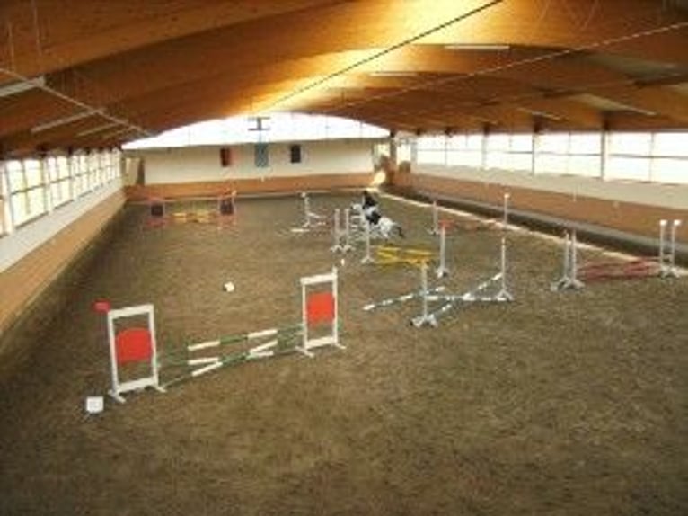 Active stable with 2 indoor arenas and paddock stalls