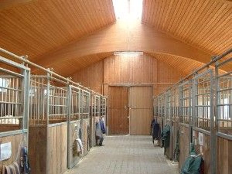 Active stable with 2 indoor arenas and paddock stalls