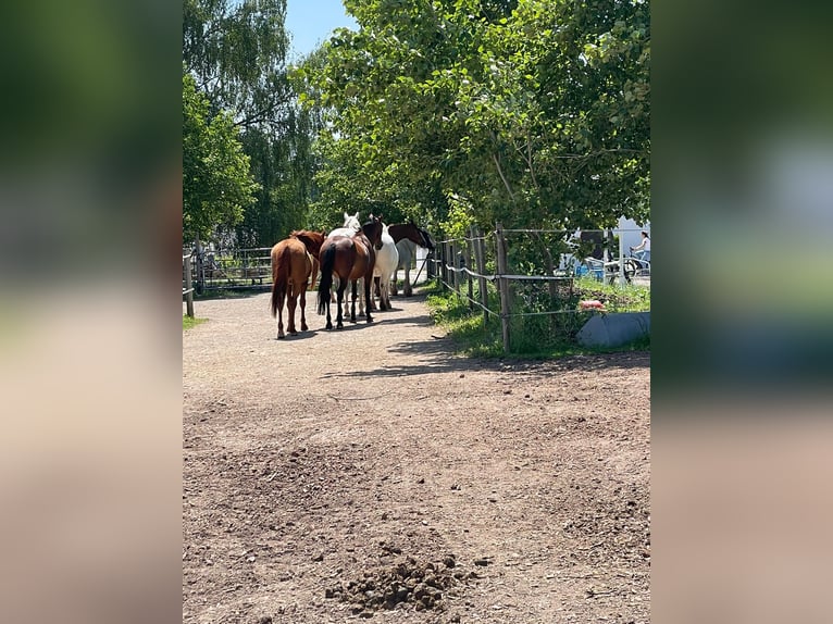 Active stable/open stable space available
