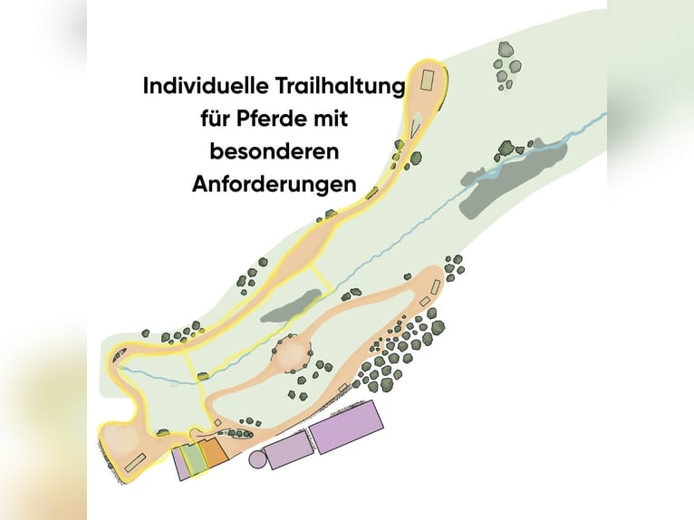  Allergikerstall für Pferde mit besonderen Bedürfnissen – gesund leben im Paddocktrail