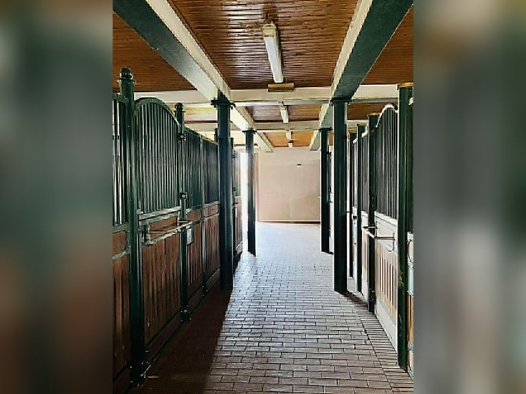 Available spaces for training horses