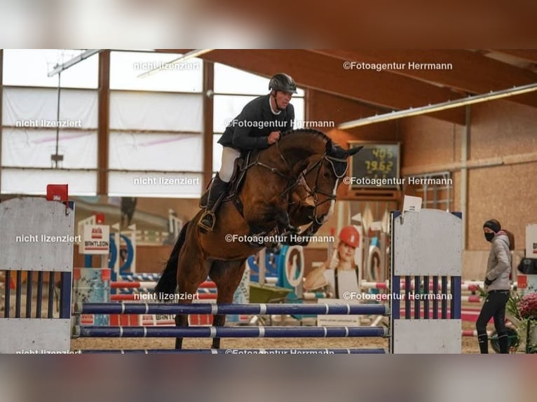 Available spaces for training horses