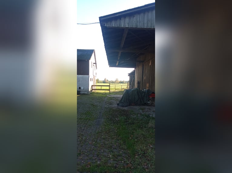 Large stable and outdoor paddock (for 4-8 horses) with enclosed pastures, suitable for a self-suffic
