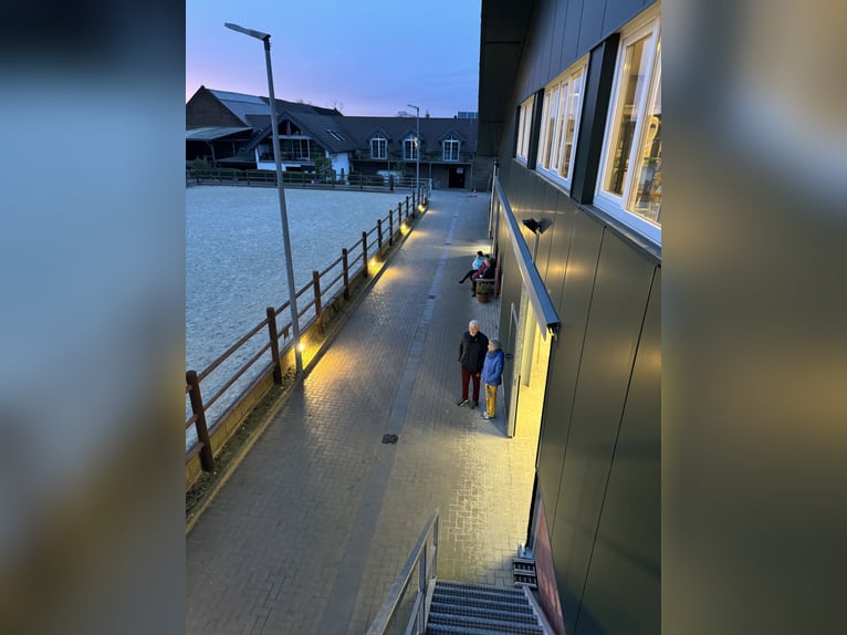 Modern riding facility with 2 active box stalls and 1 paddock stall available for 3 horses!