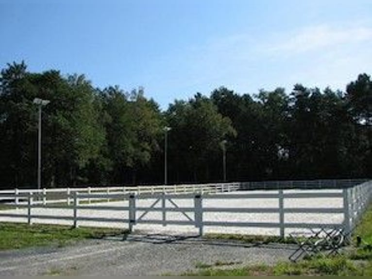 Pasture or open stable space available at a well-maintained riding facility