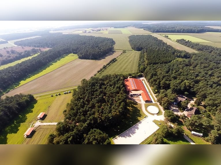 Pasture or open stable space available at a well-maintained riding facility