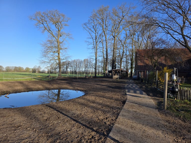 Pasture turnout available