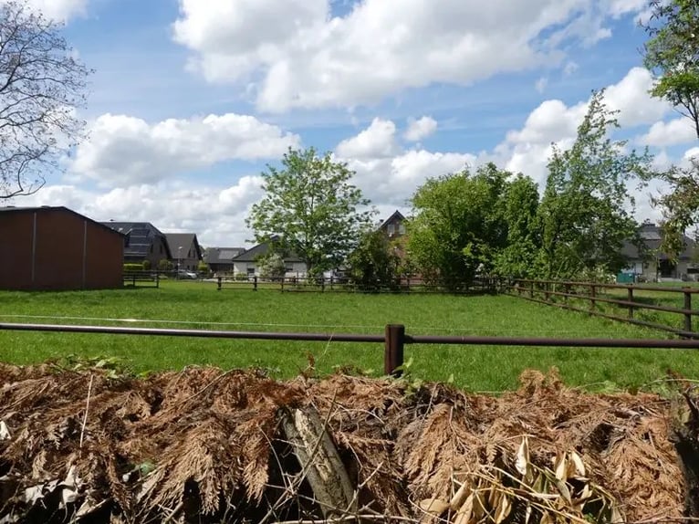 Pferdestallanlage mit 4 Boxen