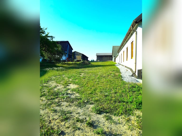 Stable space available at my private four-sided farm in the Waldviertel region