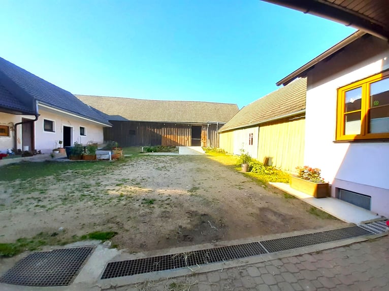 Stable space available at my private four-sided farm in the Waldviertel region
