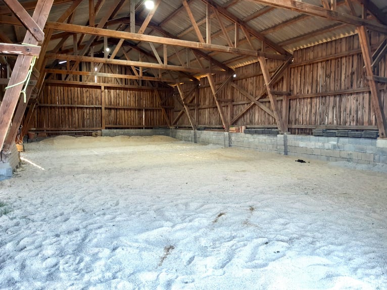 Stable space available at my private four-sided farm in the Waldviertel region