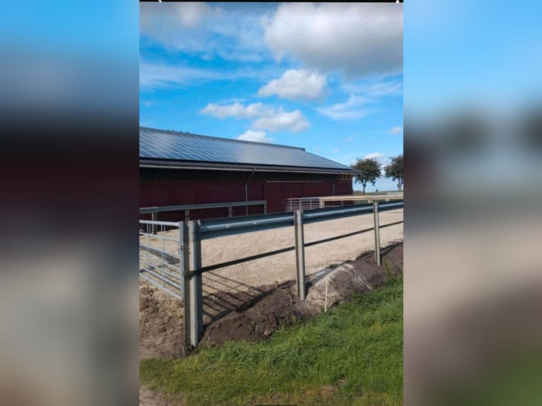 Breeding facility for mares on the North Sea coast